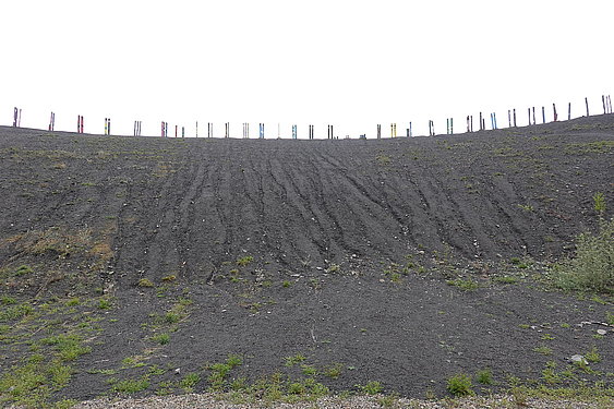 Halde Haniel ©ruhrtropolis.de