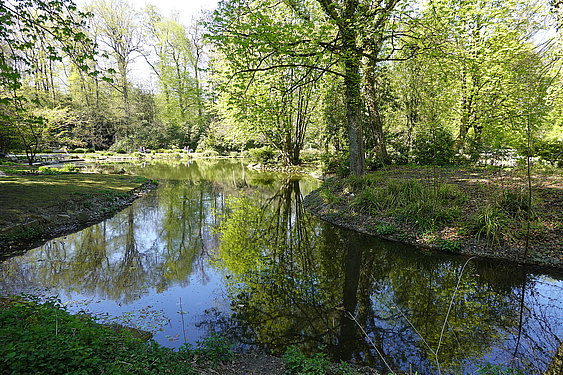 Ententeich im Schlosspark. Schloss Borbeck, ©ruhrtropolis.de